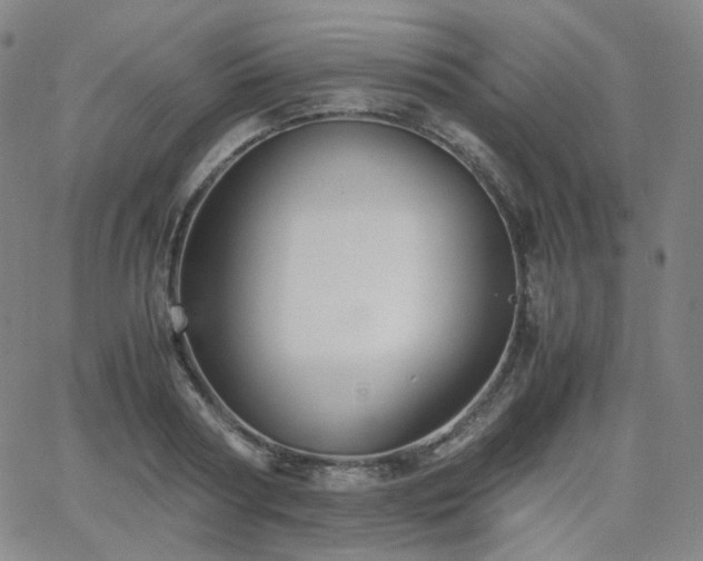 X0000063440794200601201153