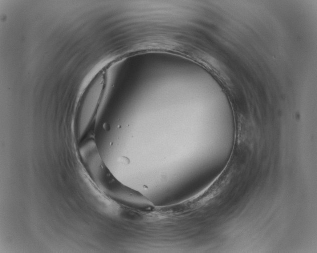 X0000063440796200601201153