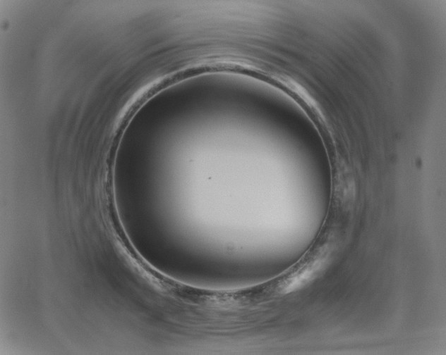 X0000063440799200601201153