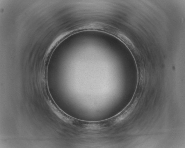 X0000063440800200601201153