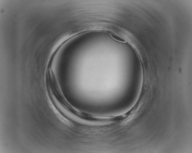 X0000063440803200601201153