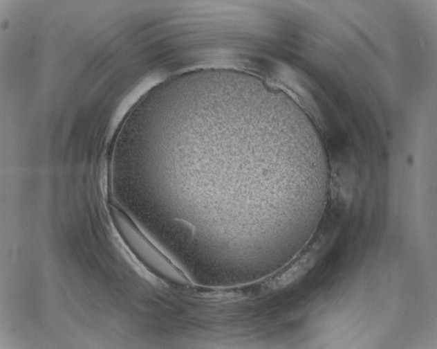 X0000063440804200601201153