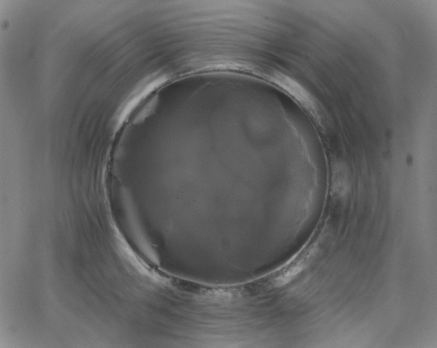 X0000063440806200601201153