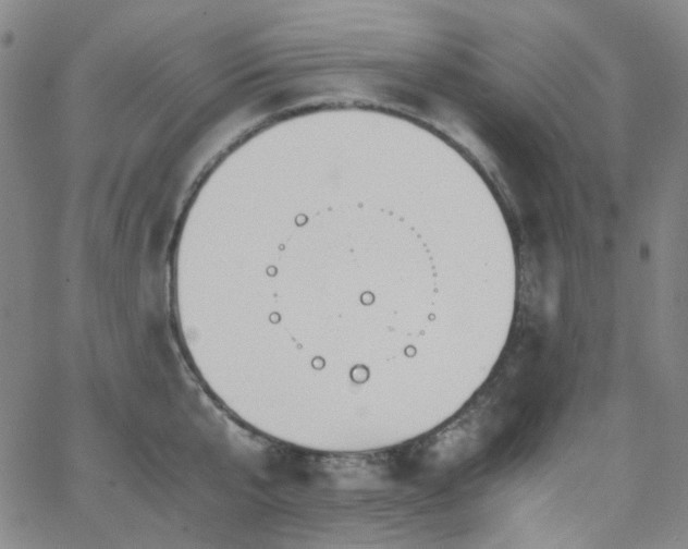 X0000063440807200601201153
