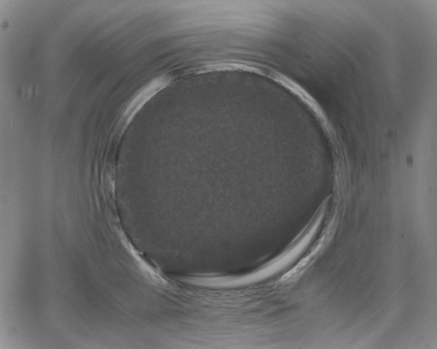 X0000063440809200601201153