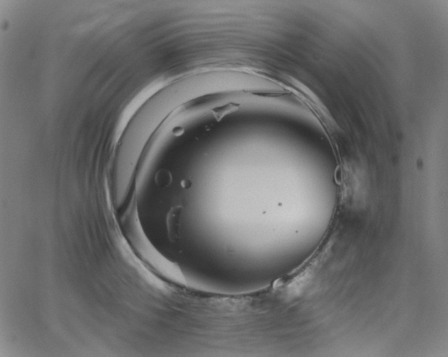 X0000063440812200601201153