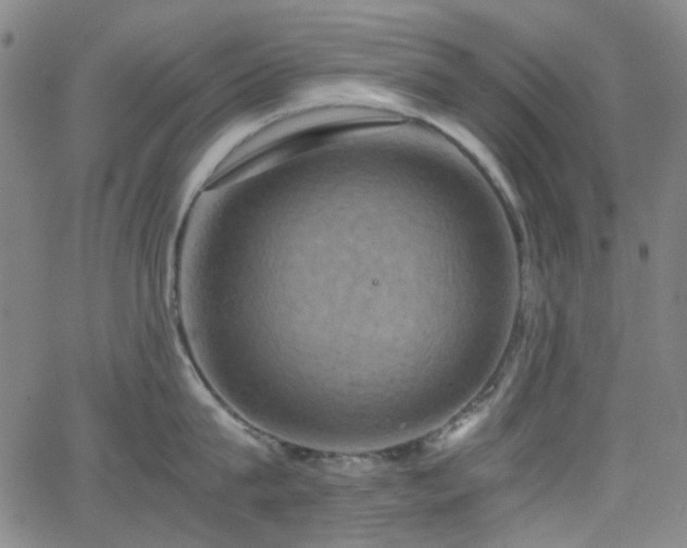 X0000063440815200601201153