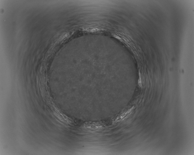 X0000063440817200601201152