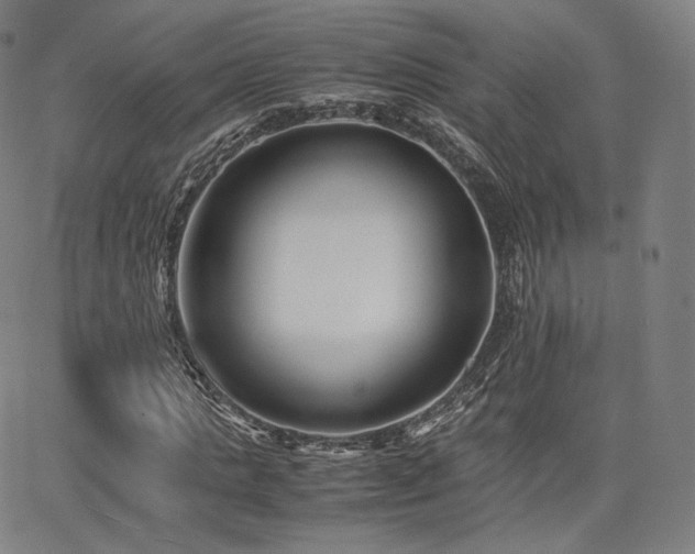 X0000063440821200601201152