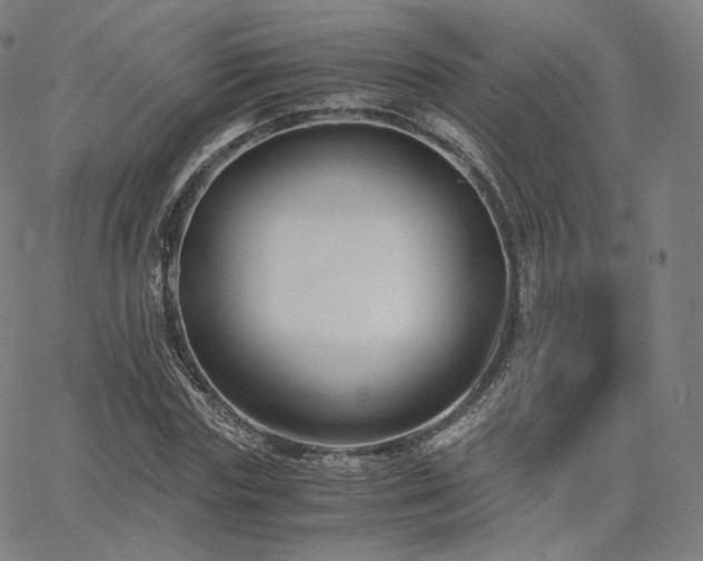 X0000063440827200601201152