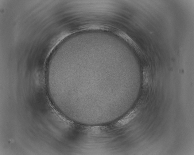 X0000063440828200601201152