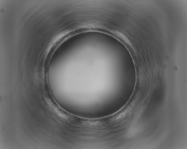 X0000063440831200601201152