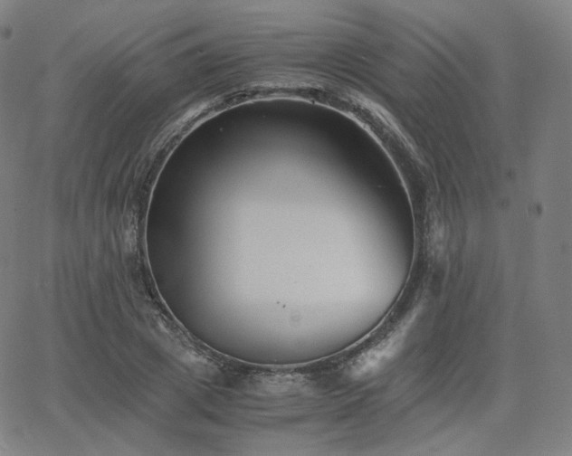 X0000063440833200601201153
