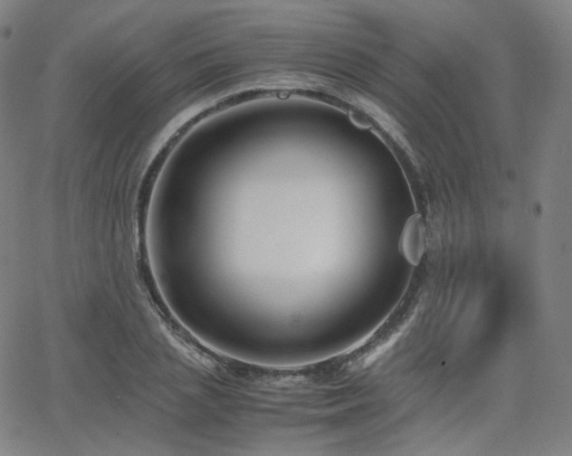 X0000063440837200601201153