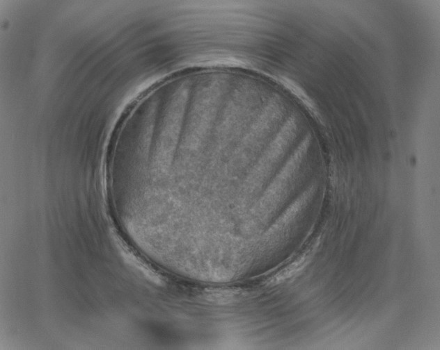 X0000063440840200601201153