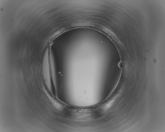 X0000063440841200601201153