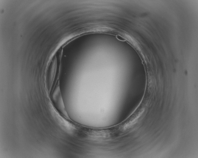 X0000063440843200601201153