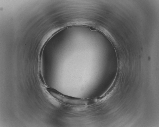 X0000063440844200601201153