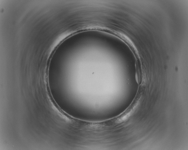 X0000063440847200601201153