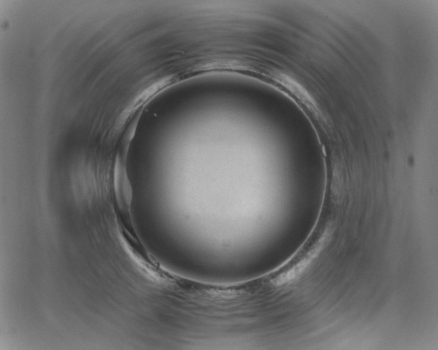 X0000063440849200601201153