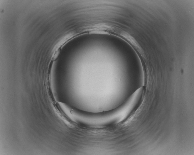 X0000063440850200601201153