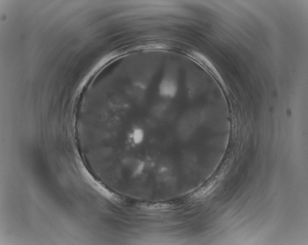 X0000063440851200601201153