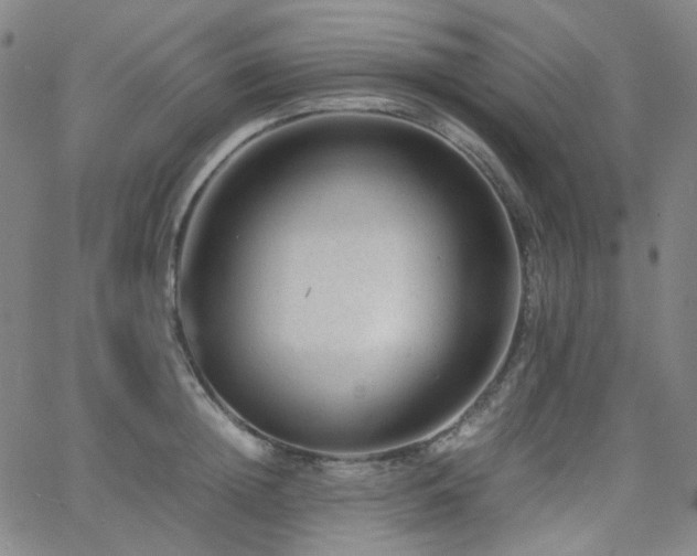 X0000063440852200601201153