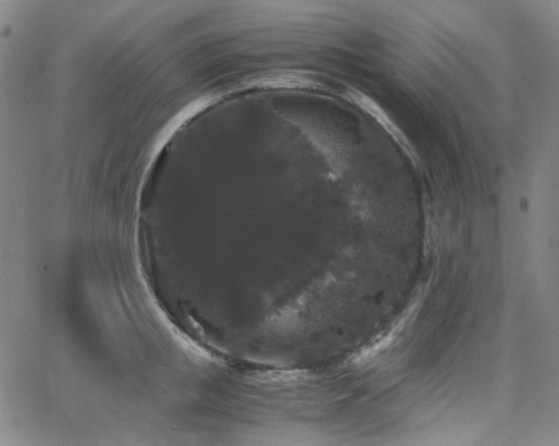X0000063440853200601201153