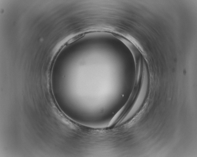 X0000063440854200601201153