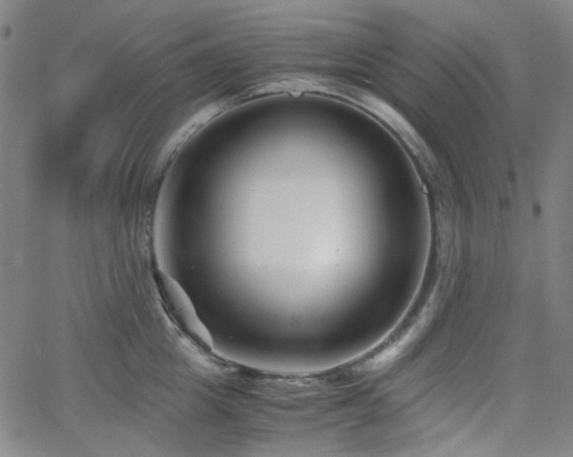 X0000063440857200601201153