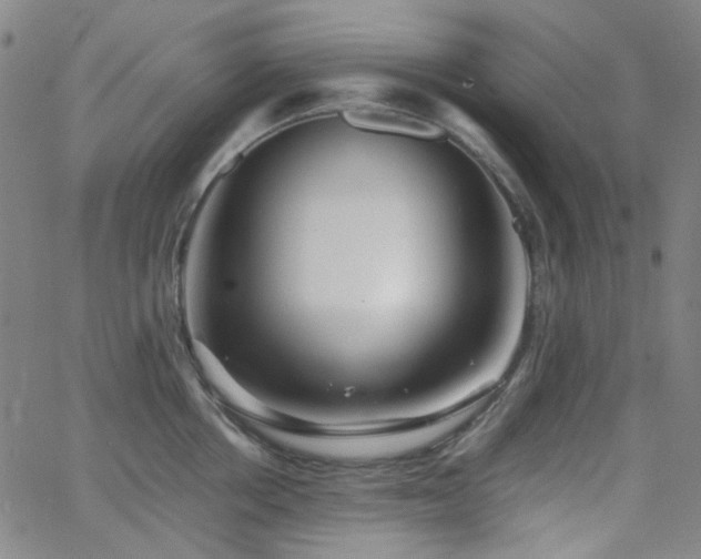 X0000063440858200601201153