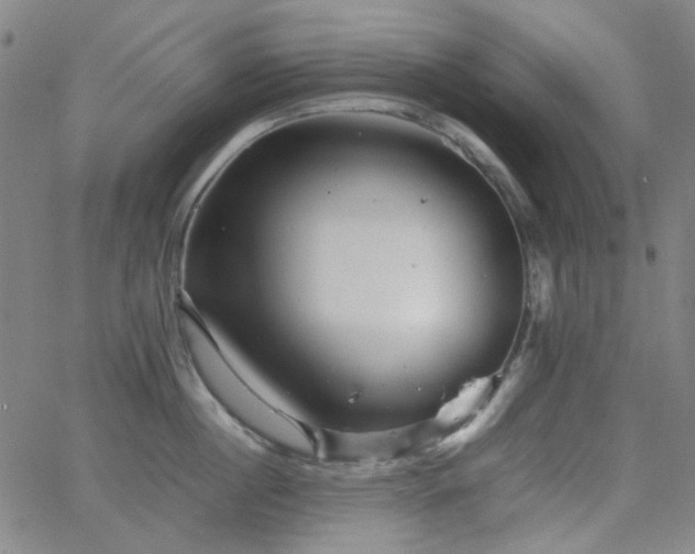 X0000063440860200601201153