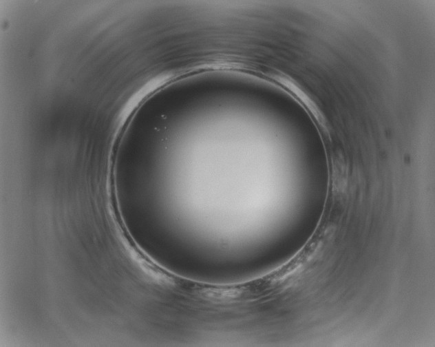 X0000063440861200601201153