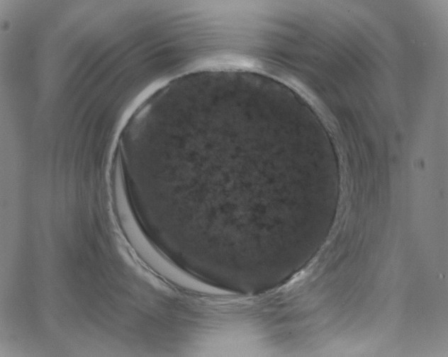 X0000063440864200601201153