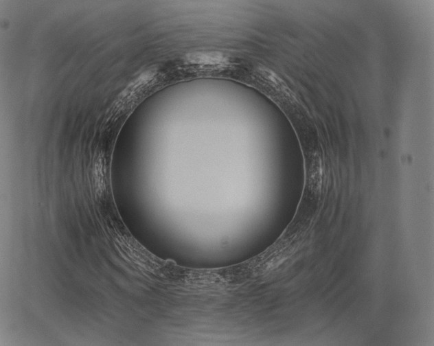 X0000063440866200601201152