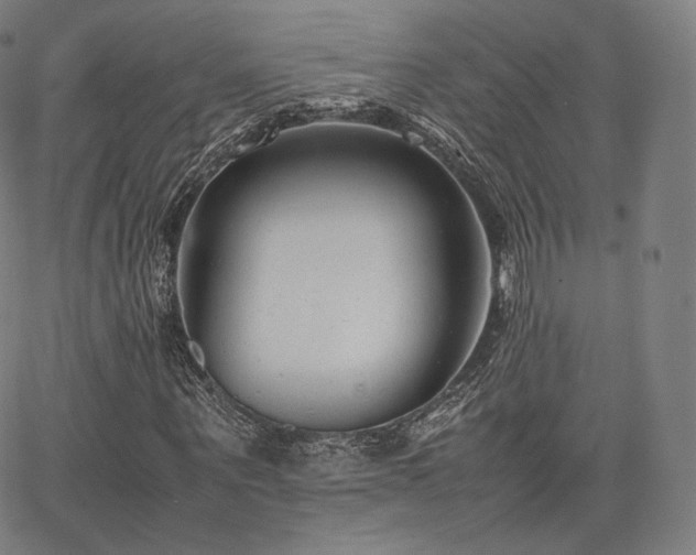 X0000063440867200601201152