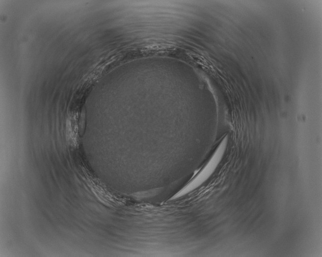 X0000063440868200601201152