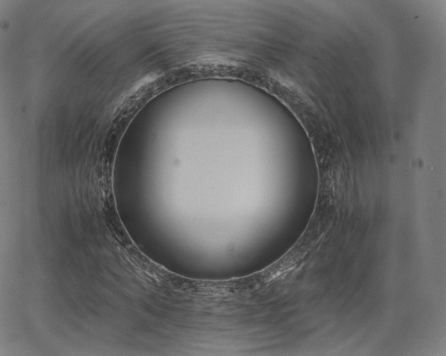 X0000063440870200601201152