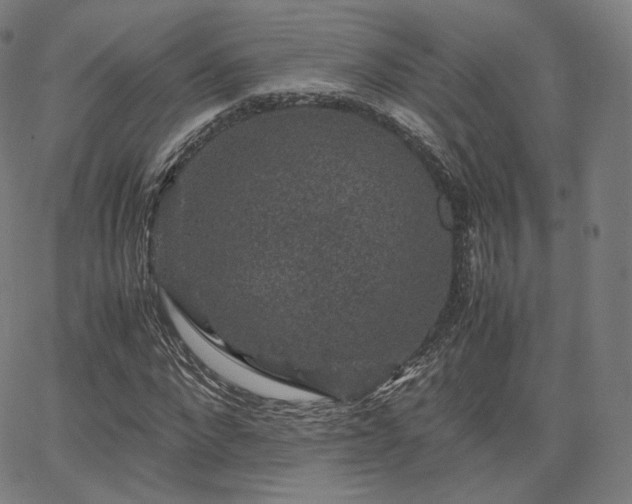 X0000063440872200601201152