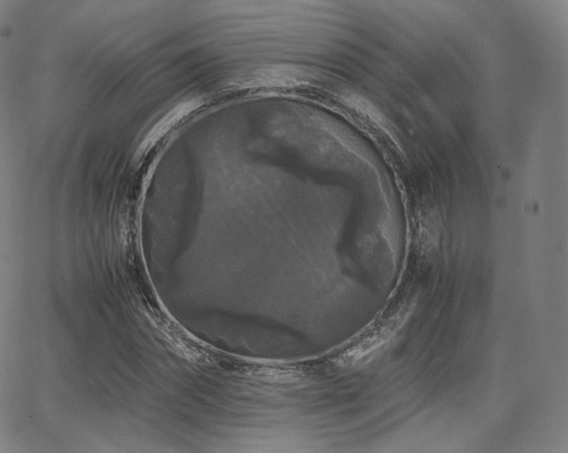 X0000063440874200601201152