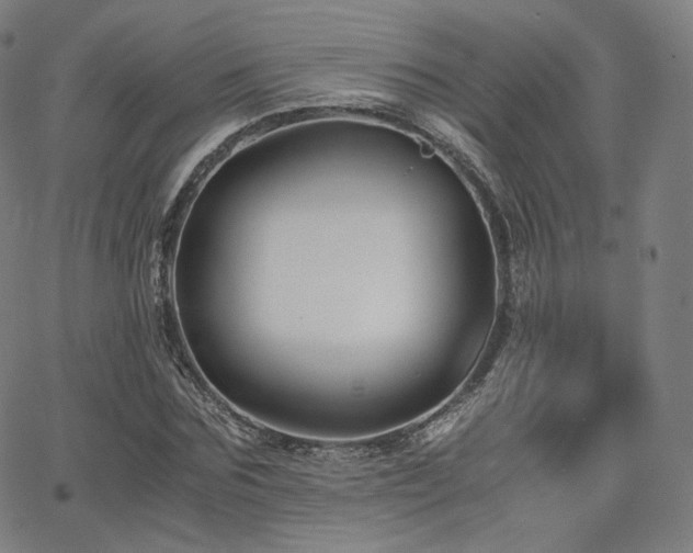 X0000063440875200601201152