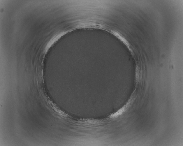 X0000063440877200601201152