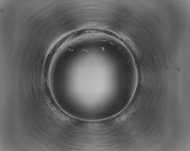 X0000063440880200601201152