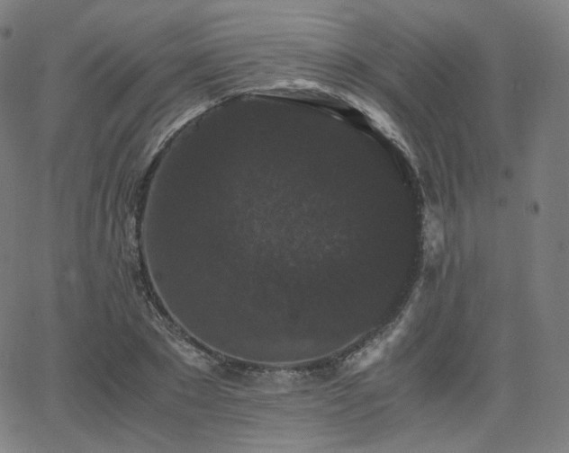 X0000063440881200601201152