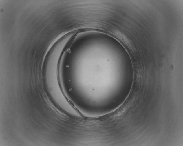 X0000063440884200601201152