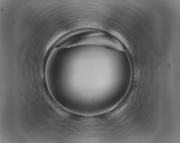 X0000063440885200601201152