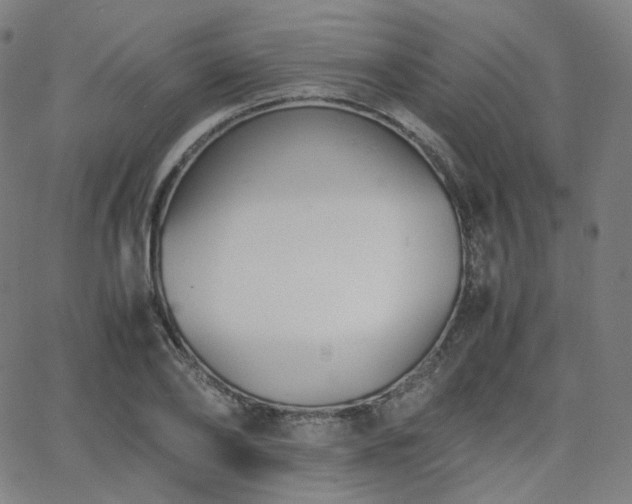 X0000063440886200601201152