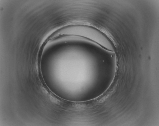 X0000063440888200601201152
