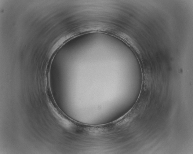 X0000063440890200601201152