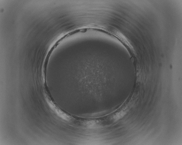 X0000063440892200601201152